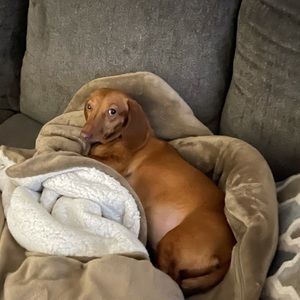 Meet your Posher, Olivia